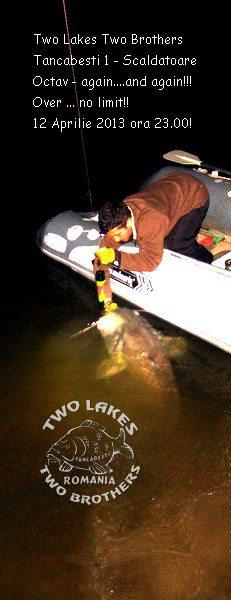 catfish pe tancabesti - 12422378565895590487878749603n.jpg